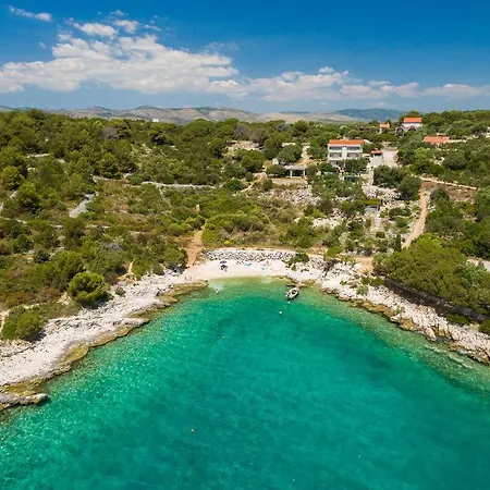 فيلة Argemonia *